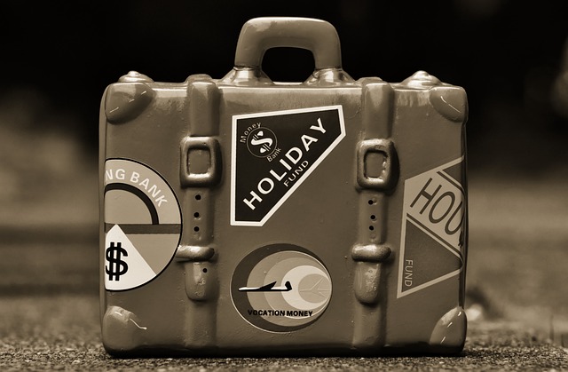suitcase