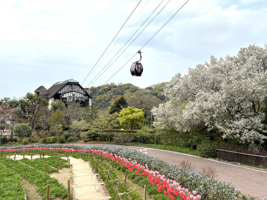 harb-garden