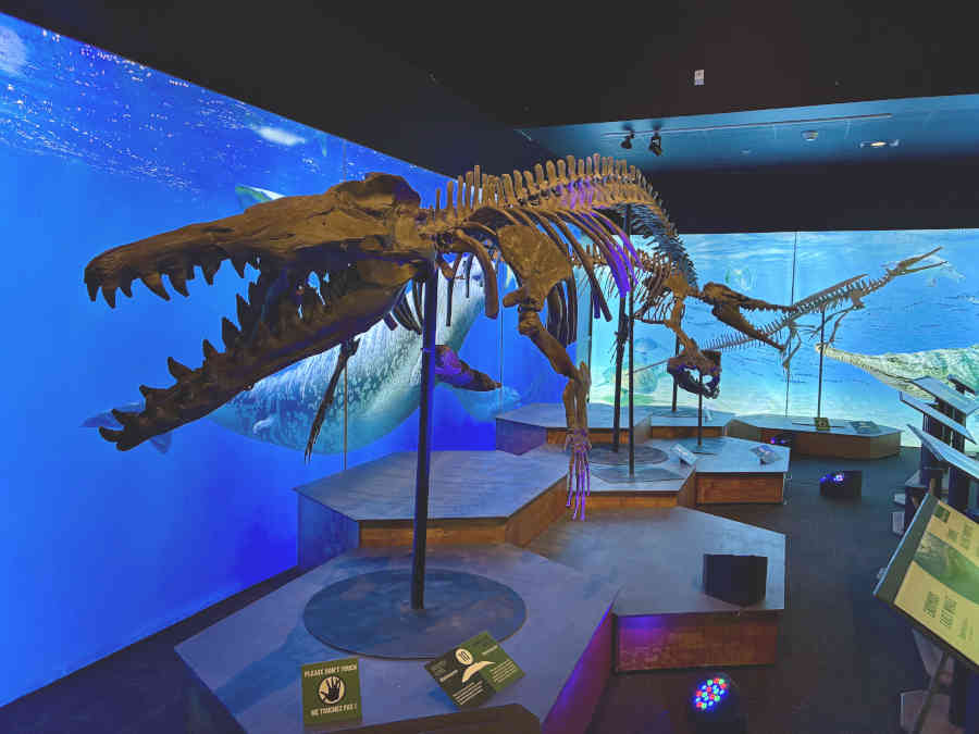 Monster of the Abyss