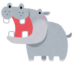 hippopotamus